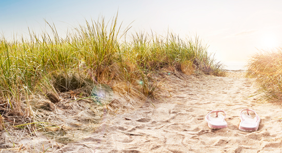 glad_sommar_550px